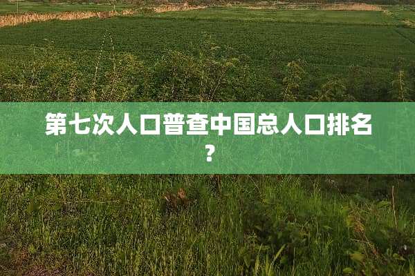 第七次人口普查中国总人口排名？