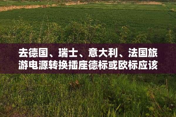 去德国、瑞士、意大利、法国旅游电源转换插座德标或欧标应该带哪个？是否有区别？