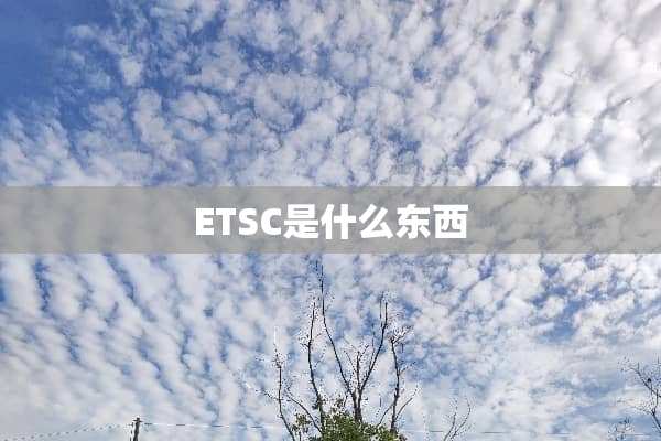 ETSC是什么东西