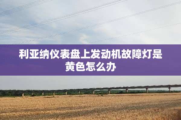 利亚纳仪表盘上发动机故障灯是**怎么办