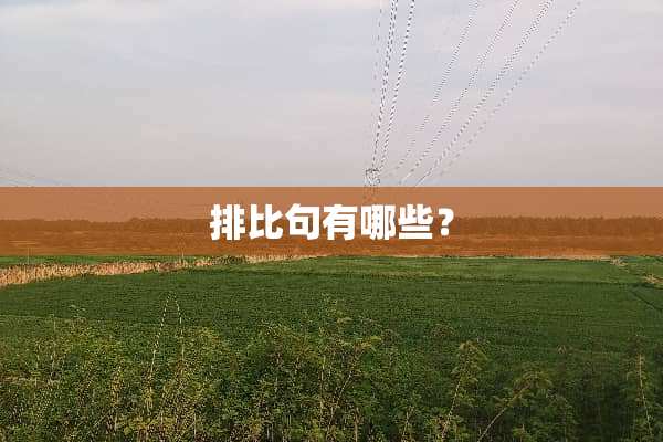 排比句有哪些？