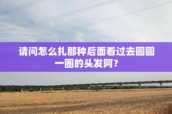 请问怎么扎那种后面看过去圆圆一圈的头发阿？