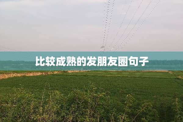 比较成熟的发朋友圈句子