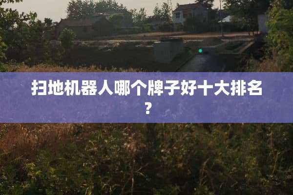 扫地机器人哪个牌子好十大排名？