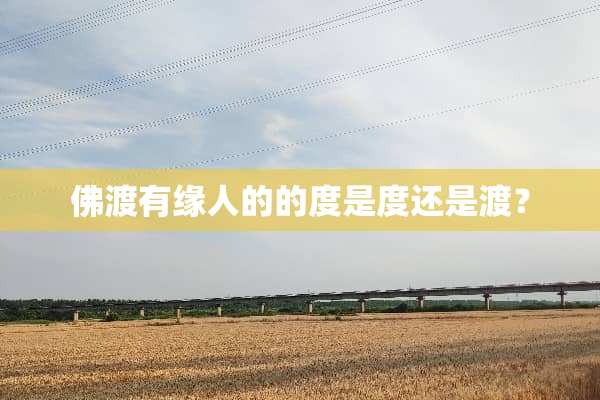 佛渡有缘人的的度是度还是渡？
