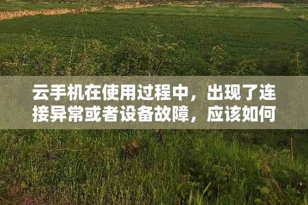 云手机在使用过程中，出现了连接异常或者设备故障，应该如何解决？