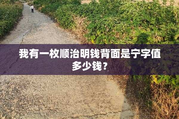 我有一枚顺治明钱背面是宁字值多少钱？