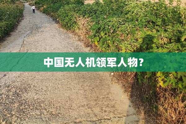 中国无人机领军人物？