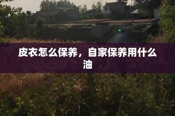 皮衣怎么保养，自家保养用什么油