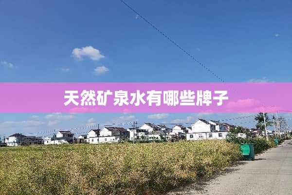 天然矿泉水有哪些牌子