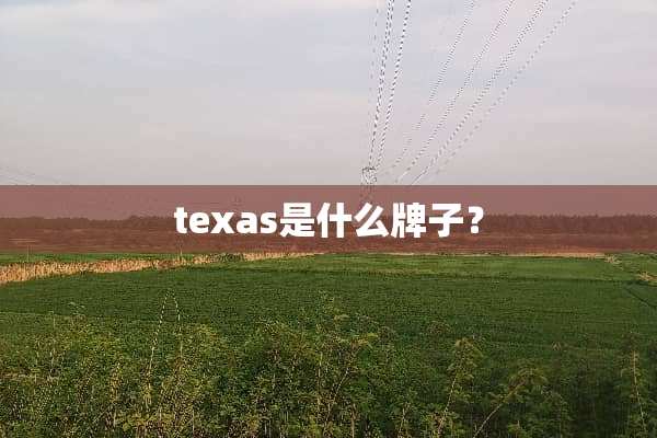 texas是什么牌子？
