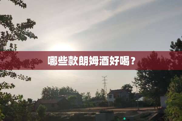 哪些款朗姆酒好喝？