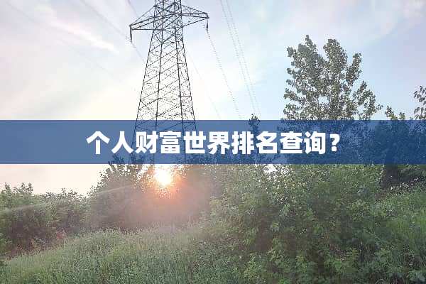 个人财富世界排名查询？