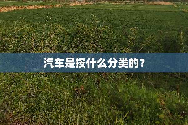 汽车是按什么分类的？