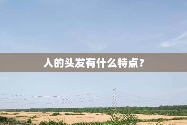 人的头发有什么特点？