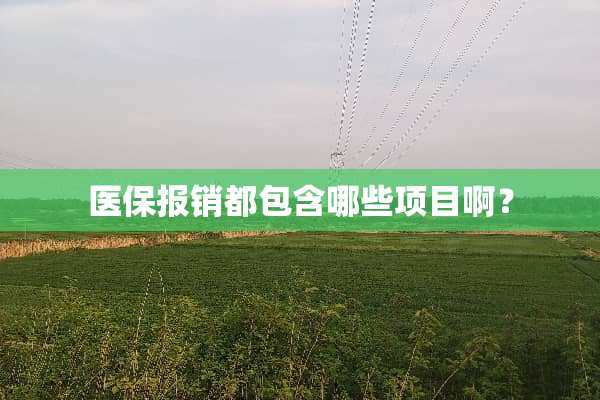 医保报销都包含哪些项目啊？