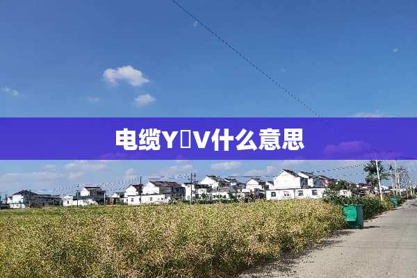 电缆Y亅V什么意思
