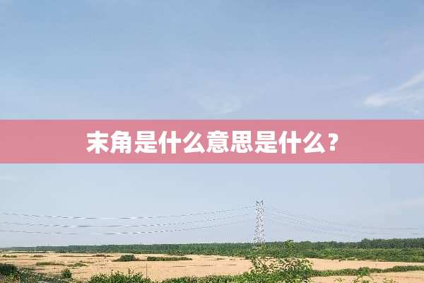 末角是什么意思是什么？