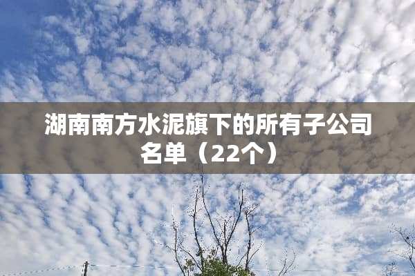 湖南南方水泥旗下的所有子公司名单（22个）
