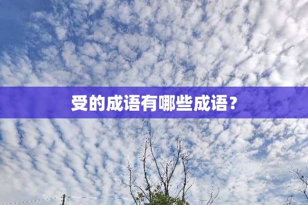 受的成语有哪些成语？