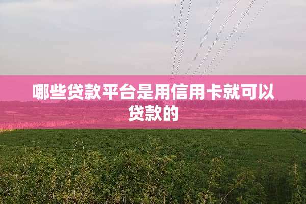 哪些贷款平台是用***就可以贷款的