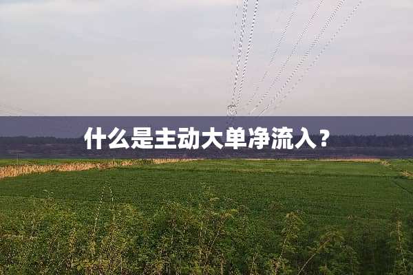 什么是主动大单净流入？