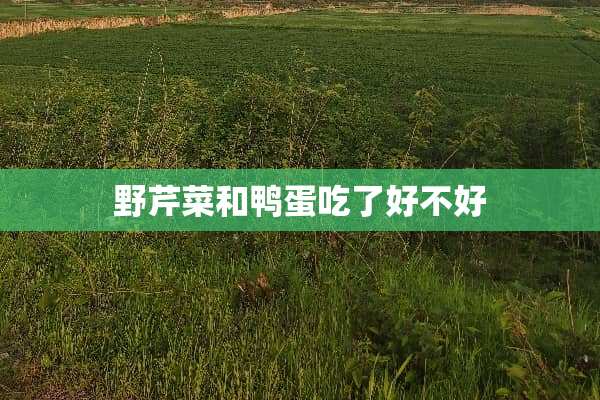 野芹菜和鸭蛋吃了好不好