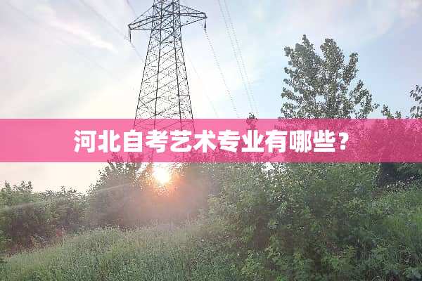 河北自考艺术专业有哪些？