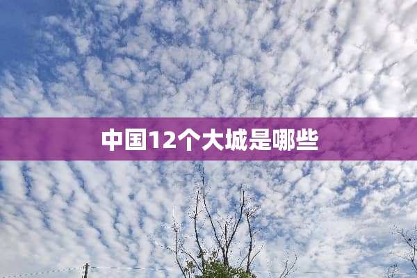 中国12个大城是哪些