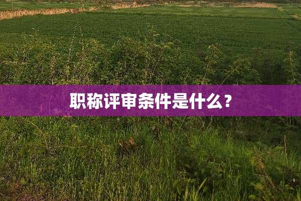 职称评审条件是什么？