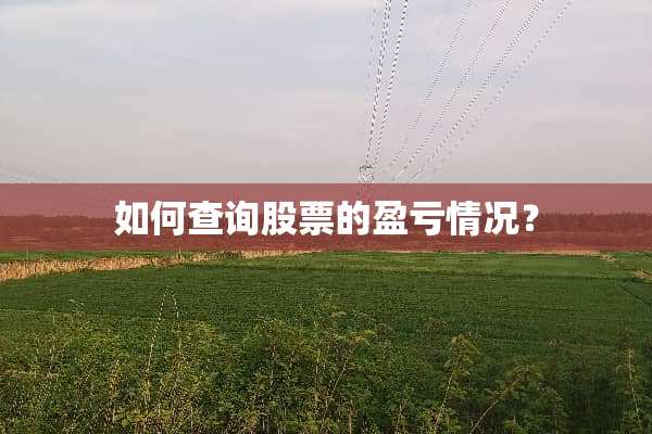 如何查询股票的盈亏情况？