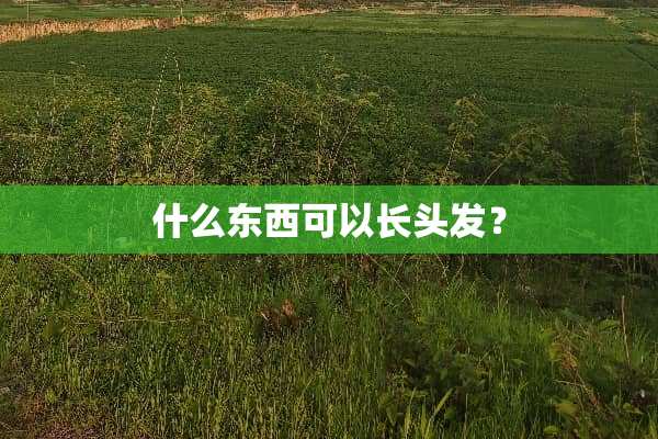 什么东西可以长头发？