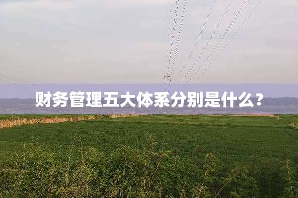 财务管理五大体系分别是什么？
