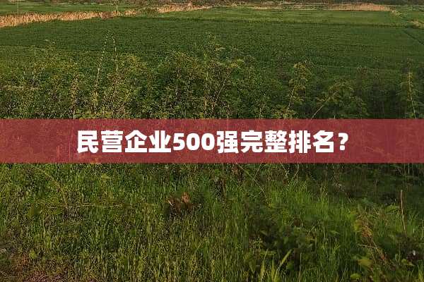 民营企业500强完整排名？