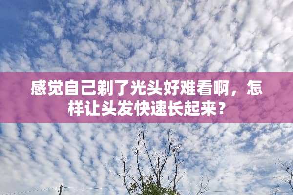 感觉自己剃了光头好难看啊，怎样让头发快速长起来？