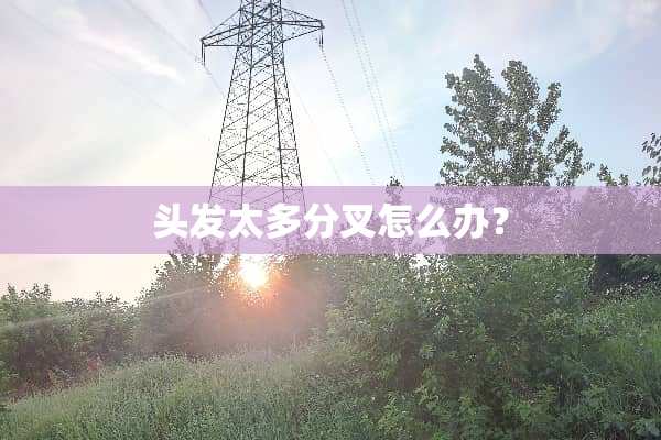 头发太多分叉怎么办？