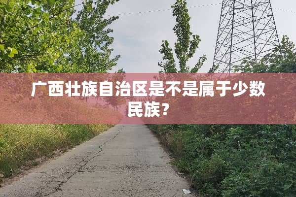 广西壮族自治区是不是属于少数民族？