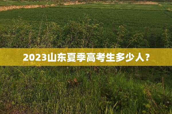 2023山东夏季高考生多少人？