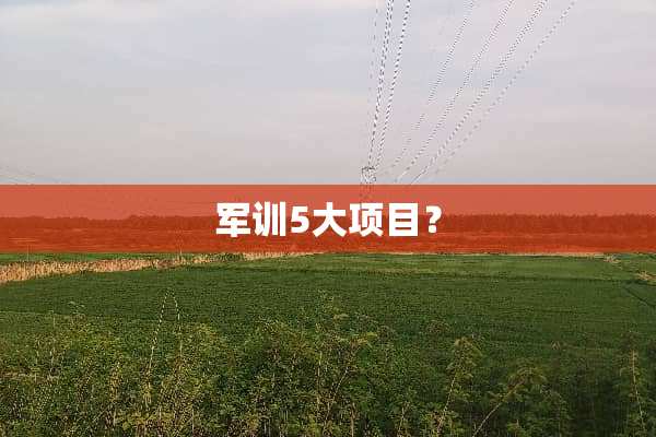 军训5大项目？