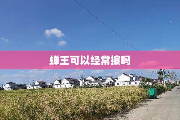 蝉王可以经常擦吗