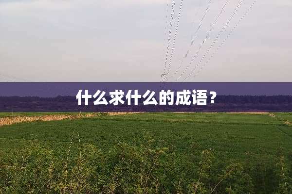 什么求什么的成语？