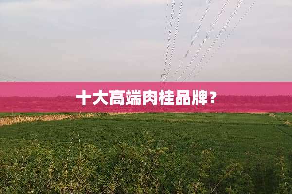 十大高端肉桂品牌？
