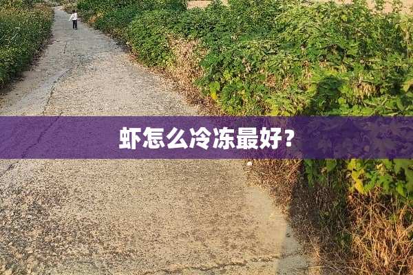 虾怎么冷冻最好？