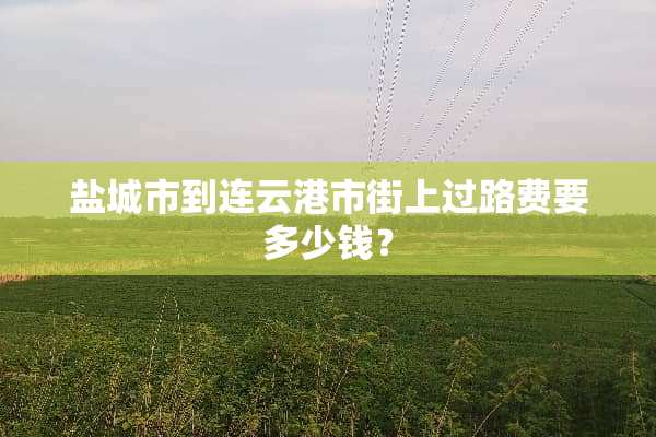 盐城市到连云港市街上过路费要多少钱？