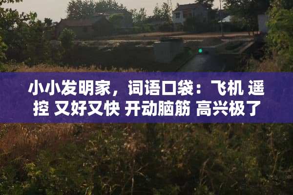 小小发明家，词语口袋：飞机 遥控 又好又快 开动脑筋 高兴极了