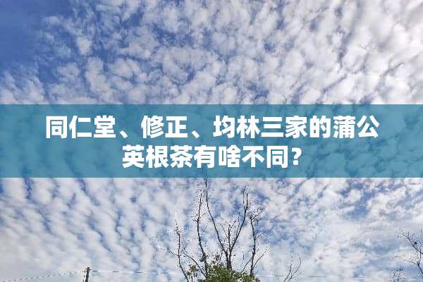 同仁堂、修正、均林三家的蒲公英根茶有啥不同？