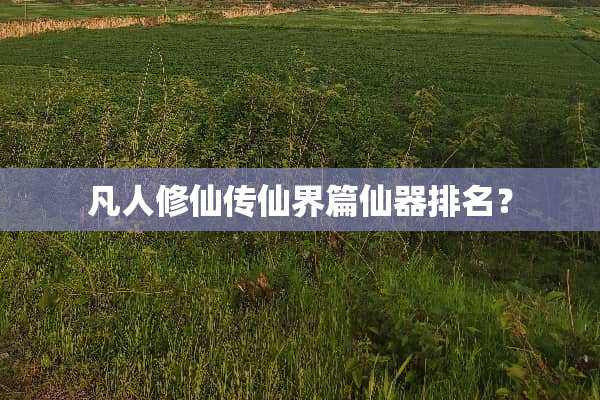 凡人修仙传仙界篇仙器排名？
