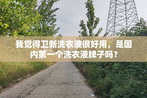 我觉得卫新洗衣液很好用，是国内第一个洗衣液牌子吗？