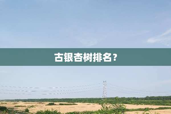 古银杏树排名？