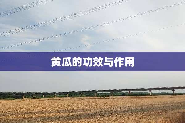 黄瓜的功效与作用